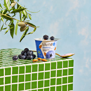 Blueberry Almond Milk Yogurt