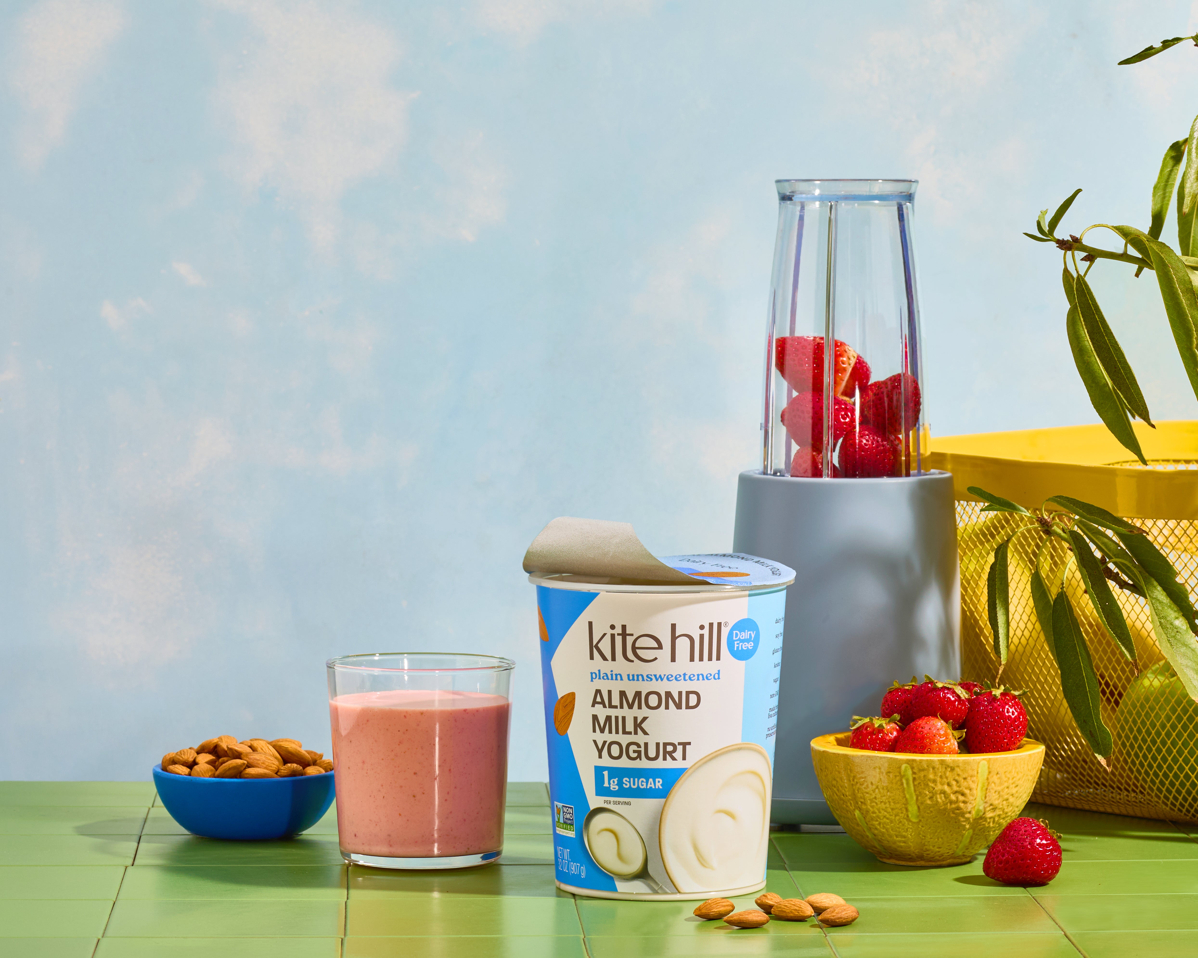 Plain Unsweetened Almond Milk Yogurt 32oz – Kite Hill Store